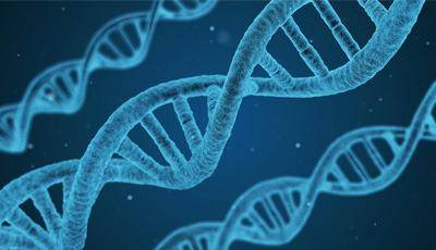 Parodontitis en hartziekte hebben zelfde genetische basis Parodontitis en hartziekte hebben zelfde genetische basis